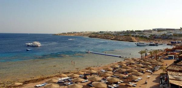Шаркс Бей Шарм Эль Шейх снорклинг